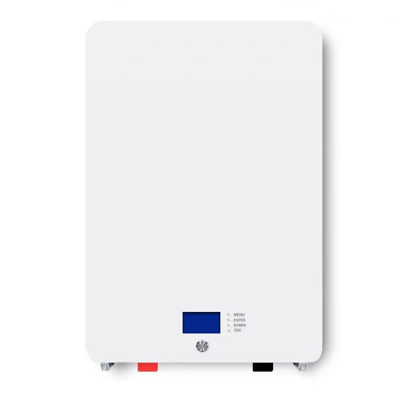 6000+サイクル 2KW 3KW 5KW 壁掛け式 24V - Cycling Gear Wall Storage のレビューと価格